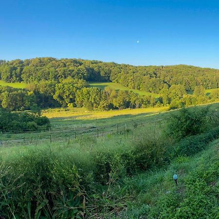 Bauernhof Fuer Naturliebhaber Bucha  외부 사진